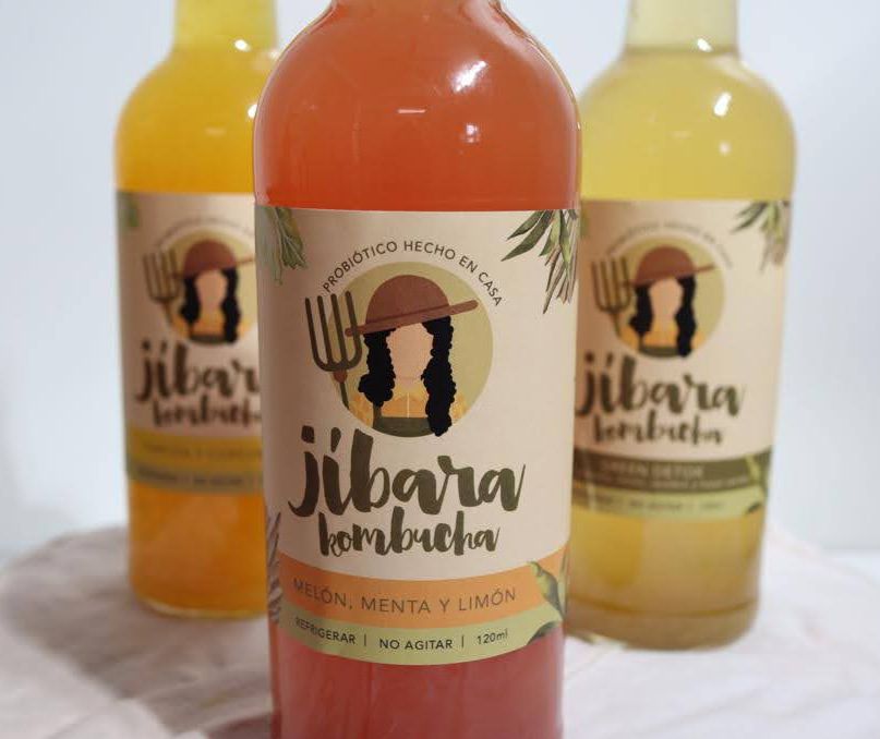 Jibara Kombucha: Pumpkins Spice