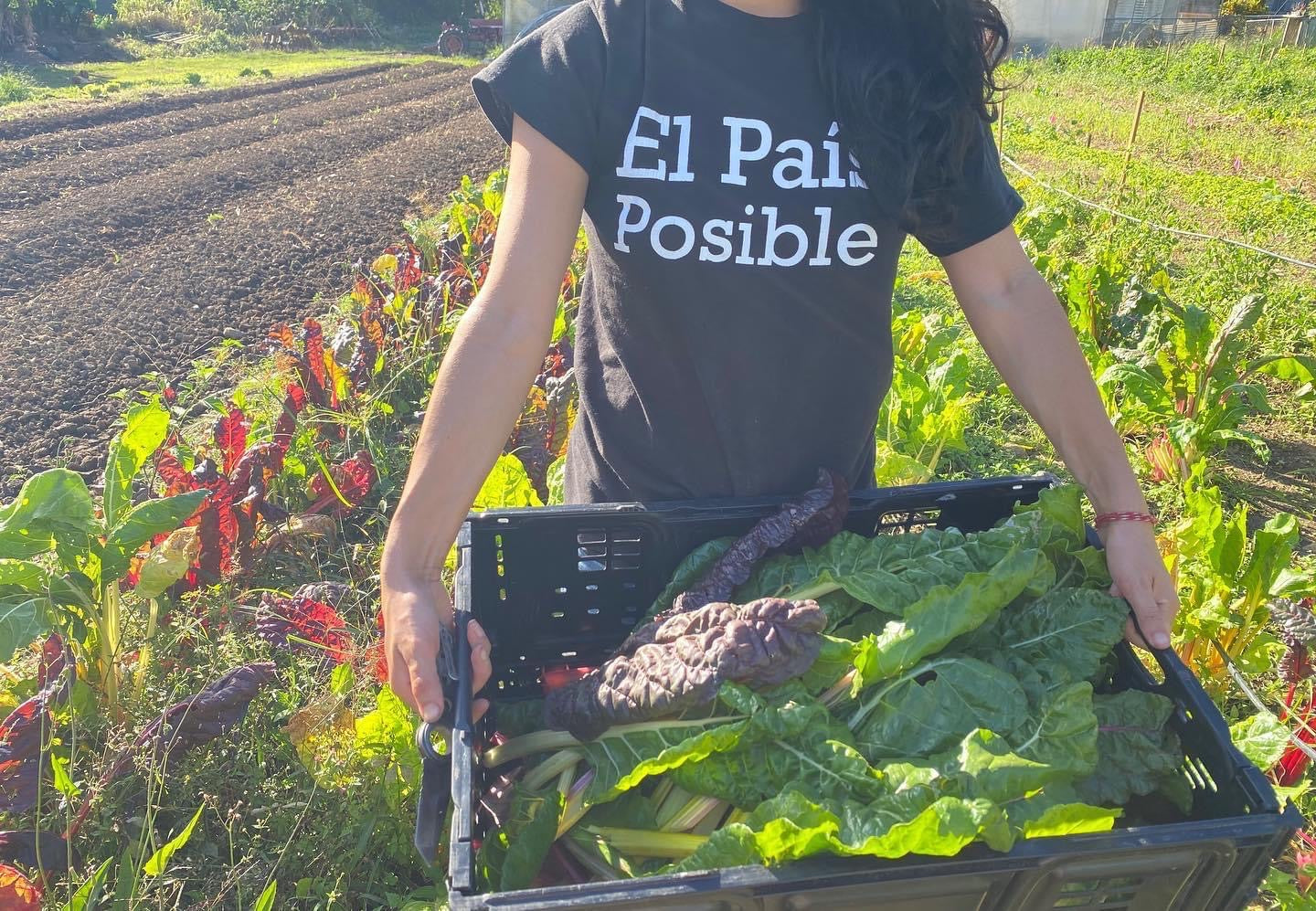 Por nuestra soberanía alimentaria a través de agricultores, cosecha y comensal.