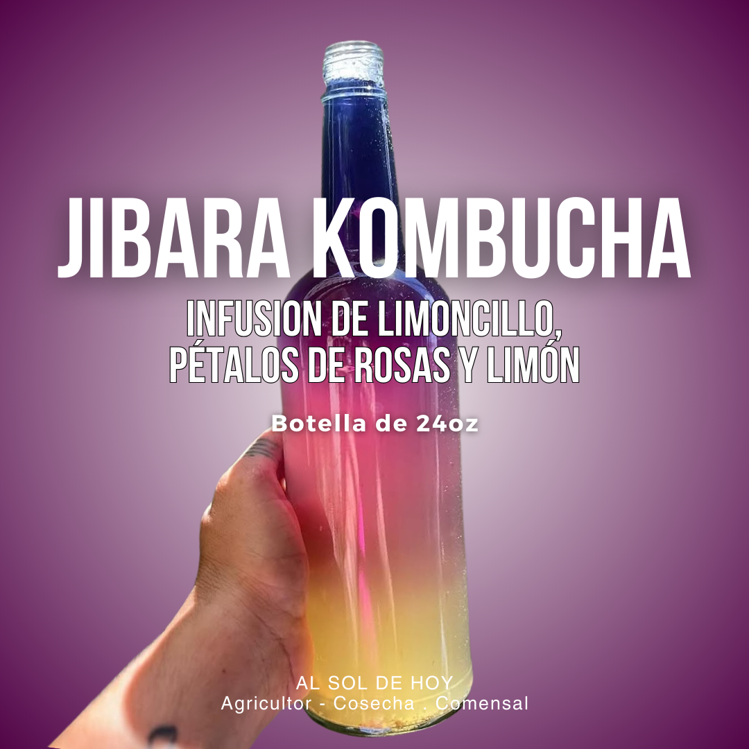 Jibara Kombucha: Infusion de Limoncillo, Pétalos de rosas y Limón