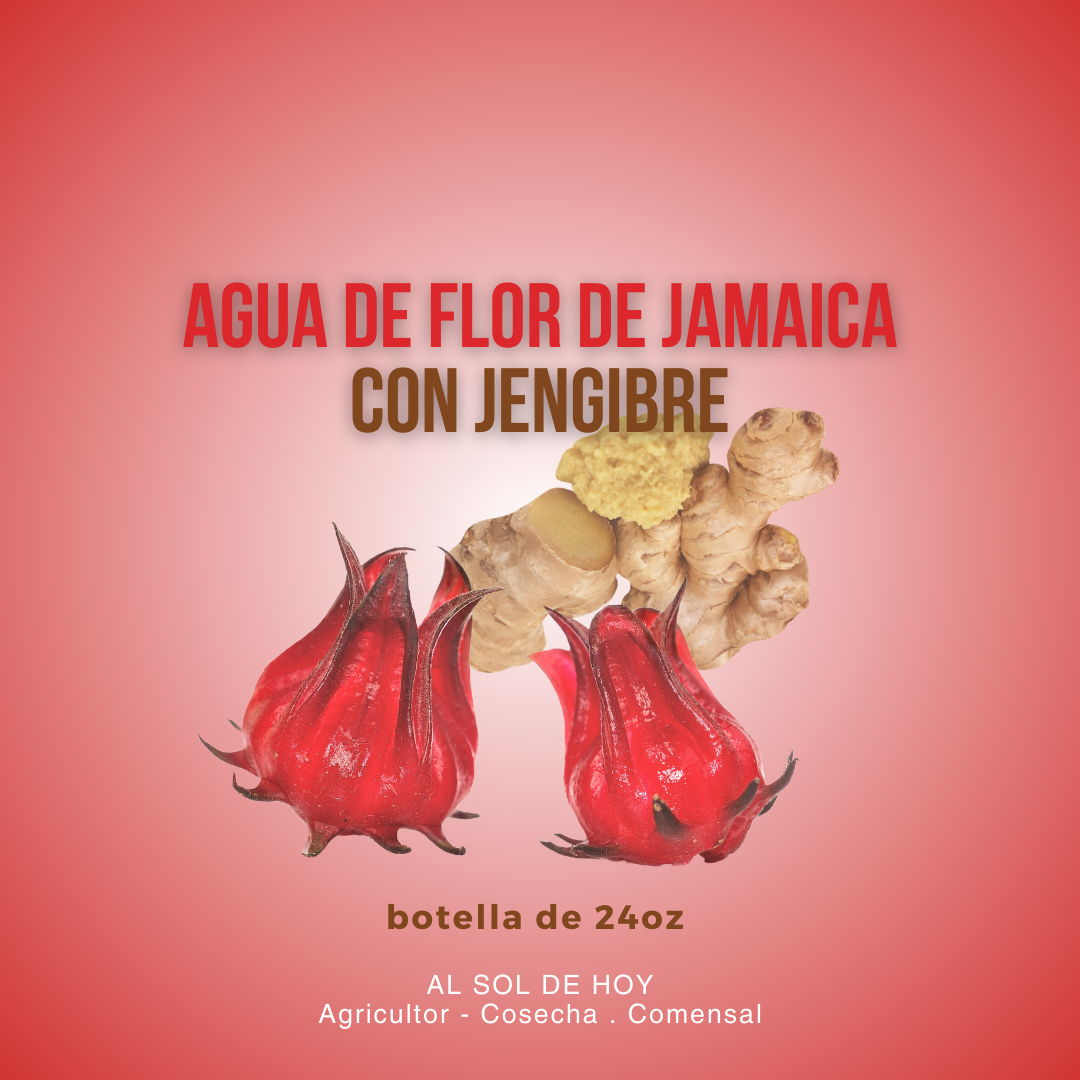 Agua de Flor de Jamaica con Jengibre