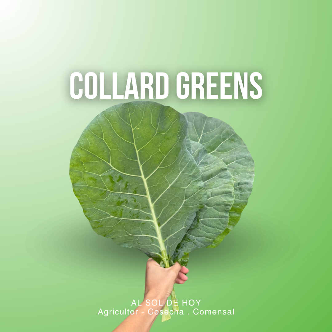 Collard greens