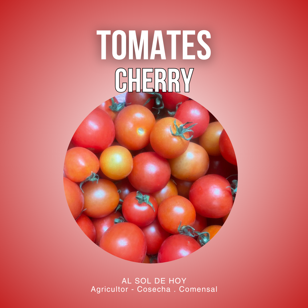 Tomates cherry